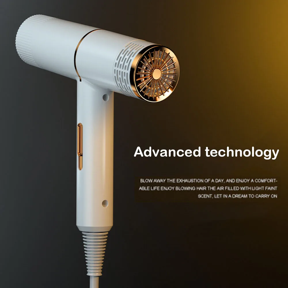 Dog Grooming Dryer Pet Hair Cat Blower Warm Wind 1000w Eu Plug Cold Hot Air With Heater For Medium Small Puppy