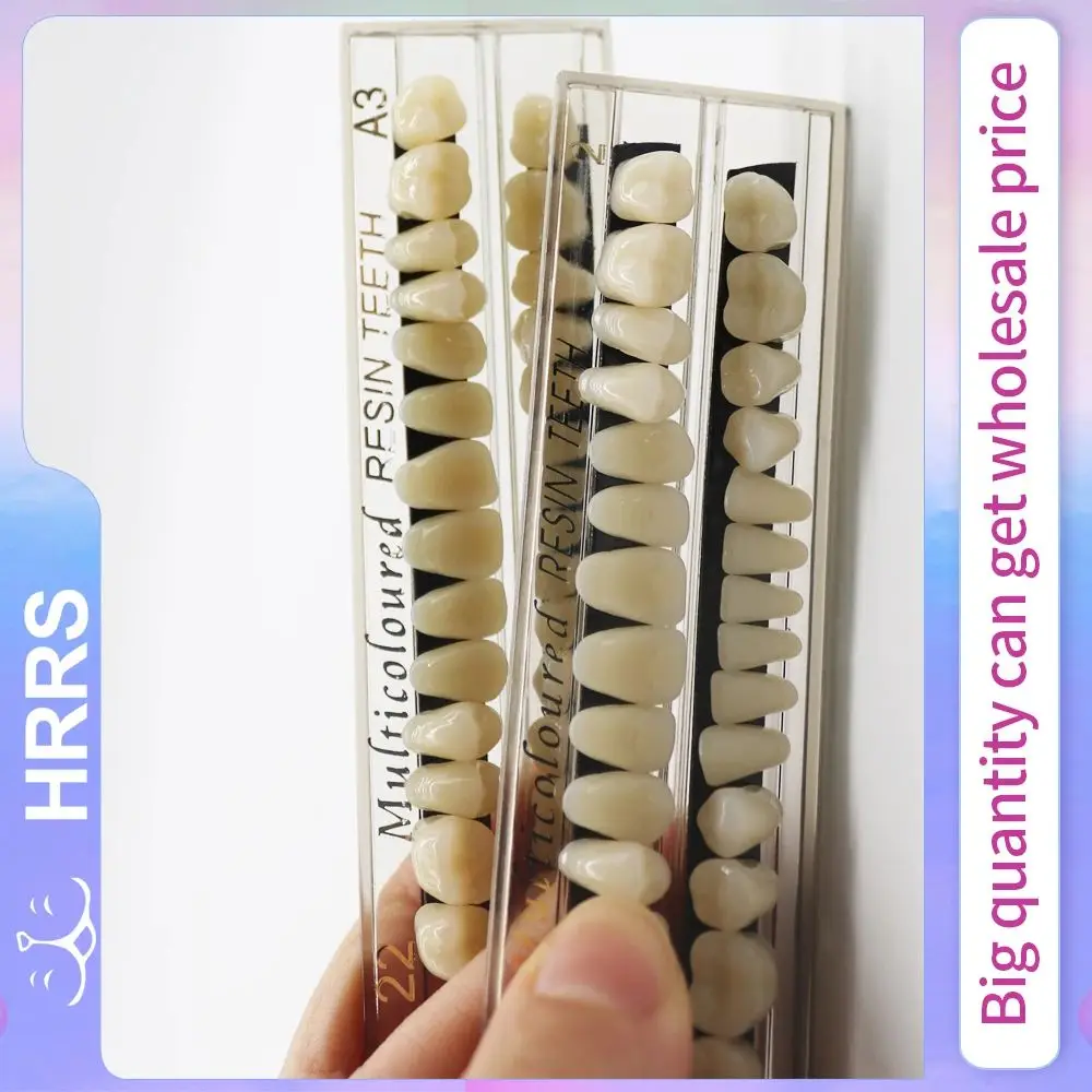 

28Teeth Resin Denture Teeth Dental Synthetic Resin Teeth Teeth Teaching Model Permanent Teeth Model Dental Material