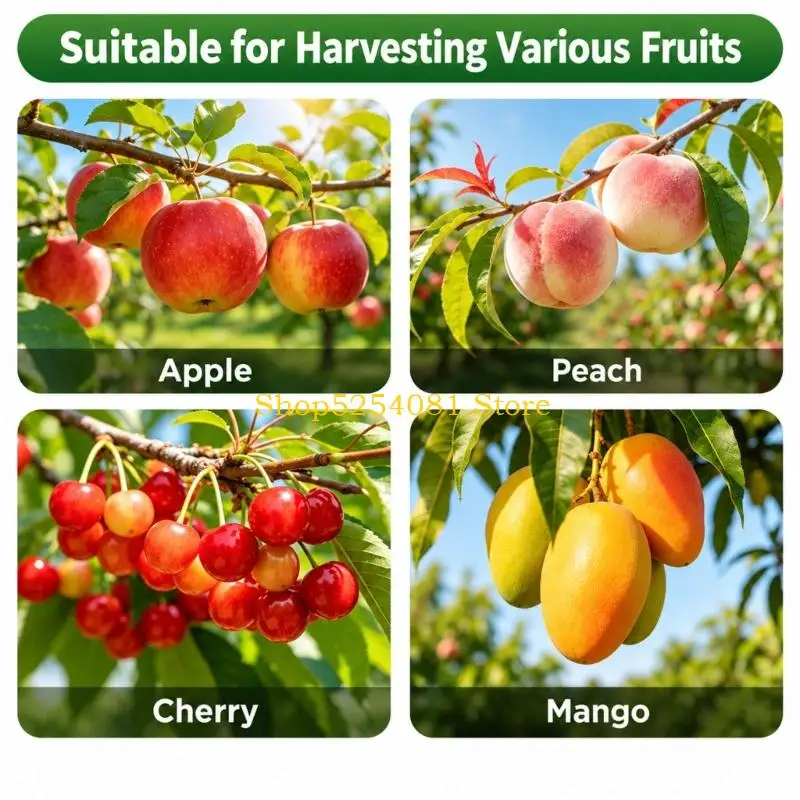 AXYC Clamp-Mounted Fruit Pickers Head for Garden and Orchards Harvesting