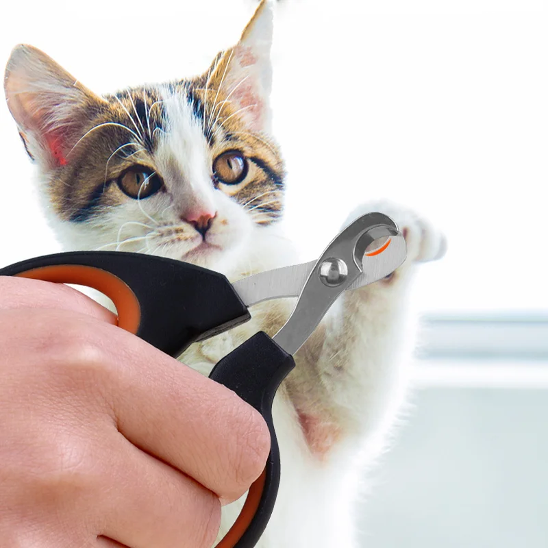 Pet Nail Scissors, Half Moon Nail Scissors, Suitable For Cats And Dogs And Other Small Pet Nail Care, Stainless Steel, Durable image 2