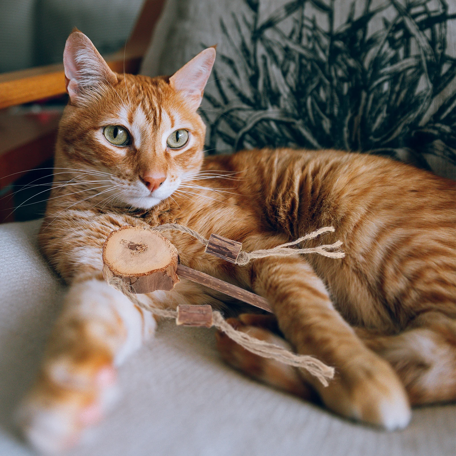 

3 Pcs Cat Teaser Toys Durable Wooden Rope Sticks for Kittens Interactive Cat Toys Small Size Storage Pet Supplies