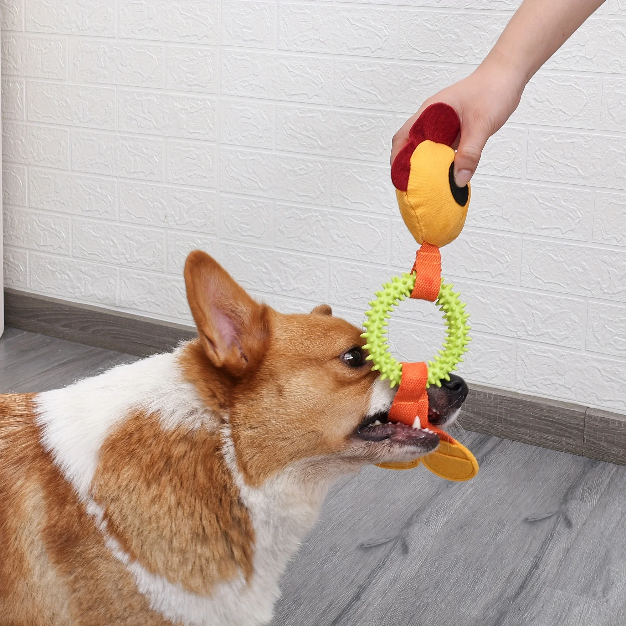 ألعاب الحيوانات الأليفة، طحن أسنان الكلاب، إخفاء الطعام، ألعاب الاستنشاق، ألعاب منزلية للترفيه والكلاب الأليفة، مستلزمات الحيوانات الأليفة