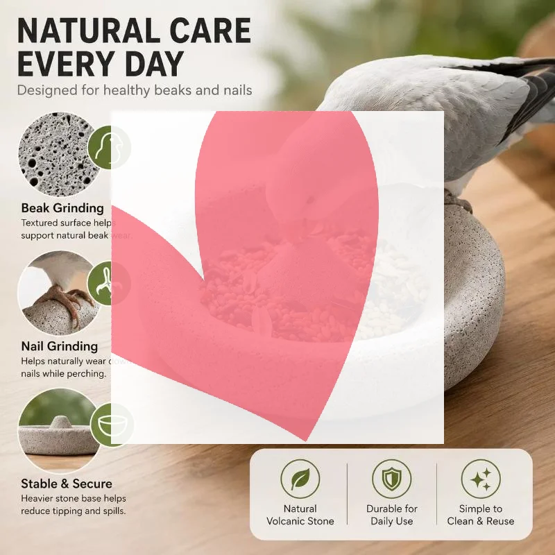 Pumice Bird Feeder Bowl Moisture-proof And Claw-friendly For Parrot Cage Supply
