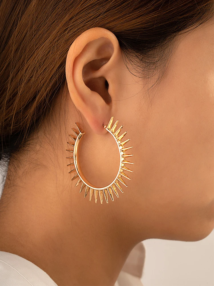 Heronsbill Hoop Metal Earrings For Women Spiked Circle Designs Fashion Punk New Styles Geometric Trendy Jewelry Party Gift C1130