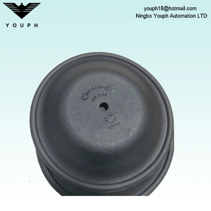 02-1010-51 Diaphragm of Wilden 1