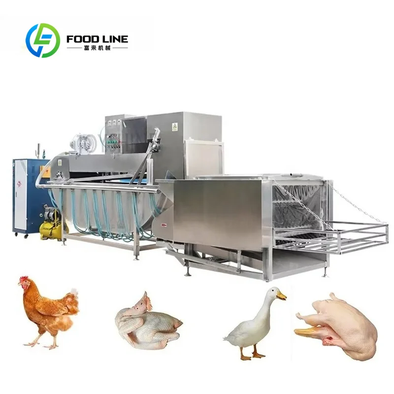 Specialized Poultry Plucker Scalder Machine, Custom Slaughter Equipment for Chicken Pigeon Quail Feather Removing