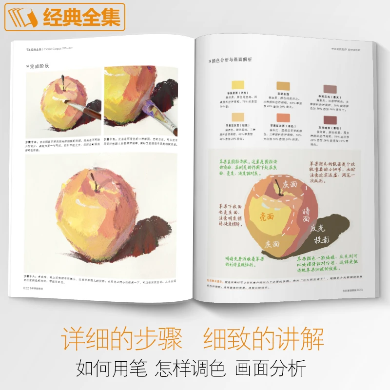 كتاب تعليمي أساسيات الألوان: مدرس أكاديمية الصين للفنون الجميلة لتعليمك رسم الألوان كتاب الرسم الدخول القائم على الصفر
