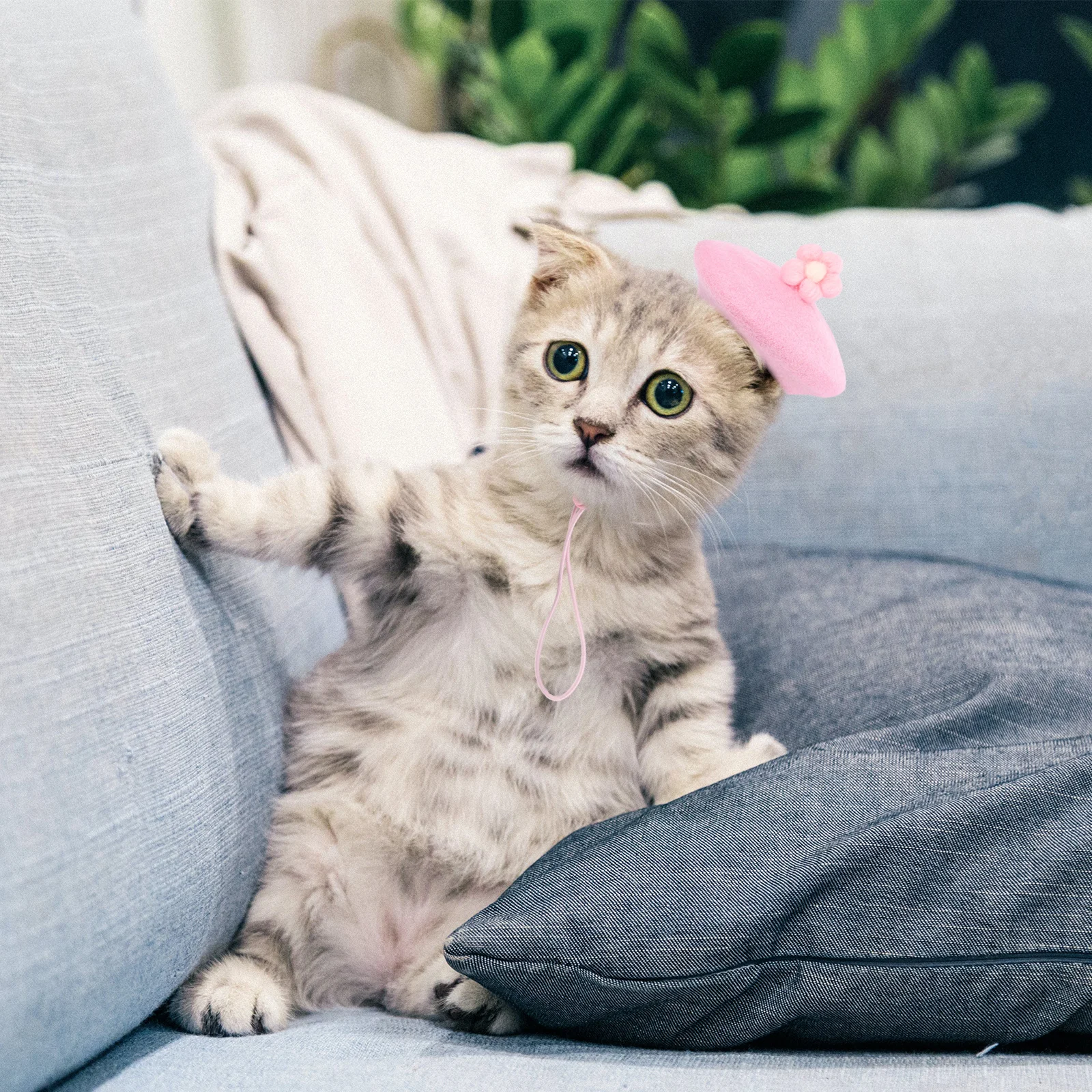 

Has Beret Hat for Cat Headwear Dog Costume Accessories Cashmere Caps Costumes Cats Hats