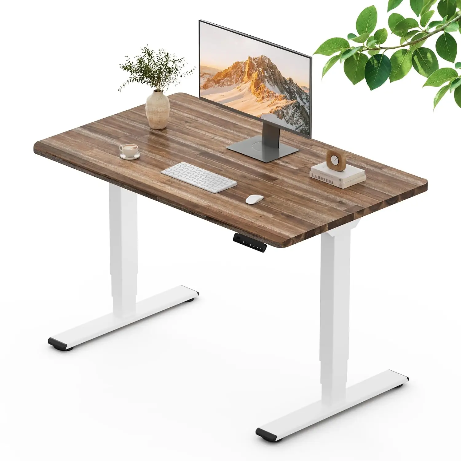Wood Standing Desk Dual Motor 47.2x23.6