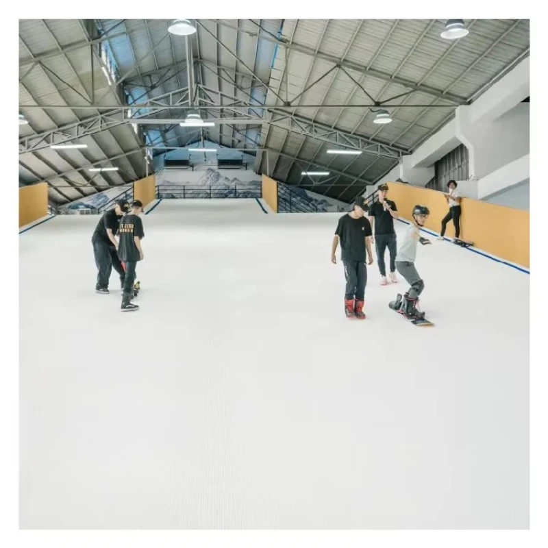 Dry Ski Slope Dry Ski Jumping Snowboard