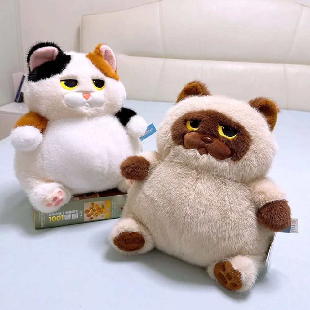 

Плюшевая игрушка с большим животом, сидящий кот, сиамская кошка, ленивое толстое животное, плюшевая кукла 35 см, пушистая ситцевая подушка для кошек, детская подушка