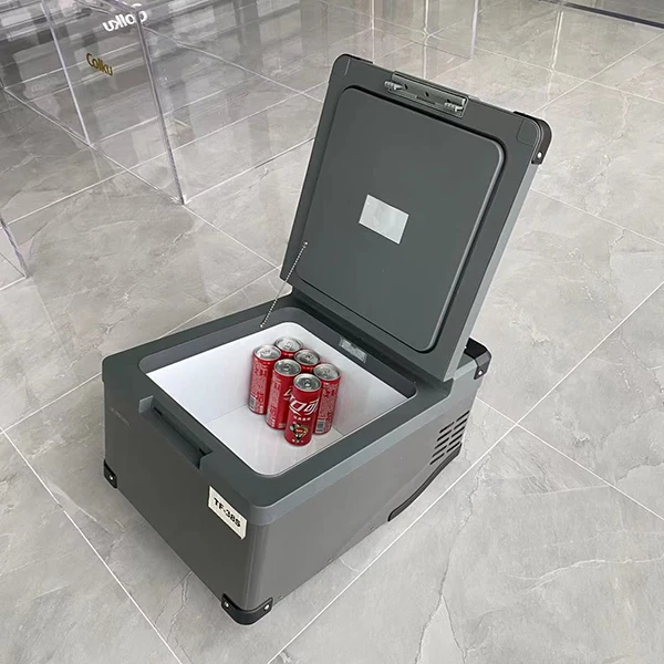 Camping Car Refrigerator High Performance 12V 24V Refrigerator Truck Freezer 38L Compressor Fridge For Car Caravan Camper