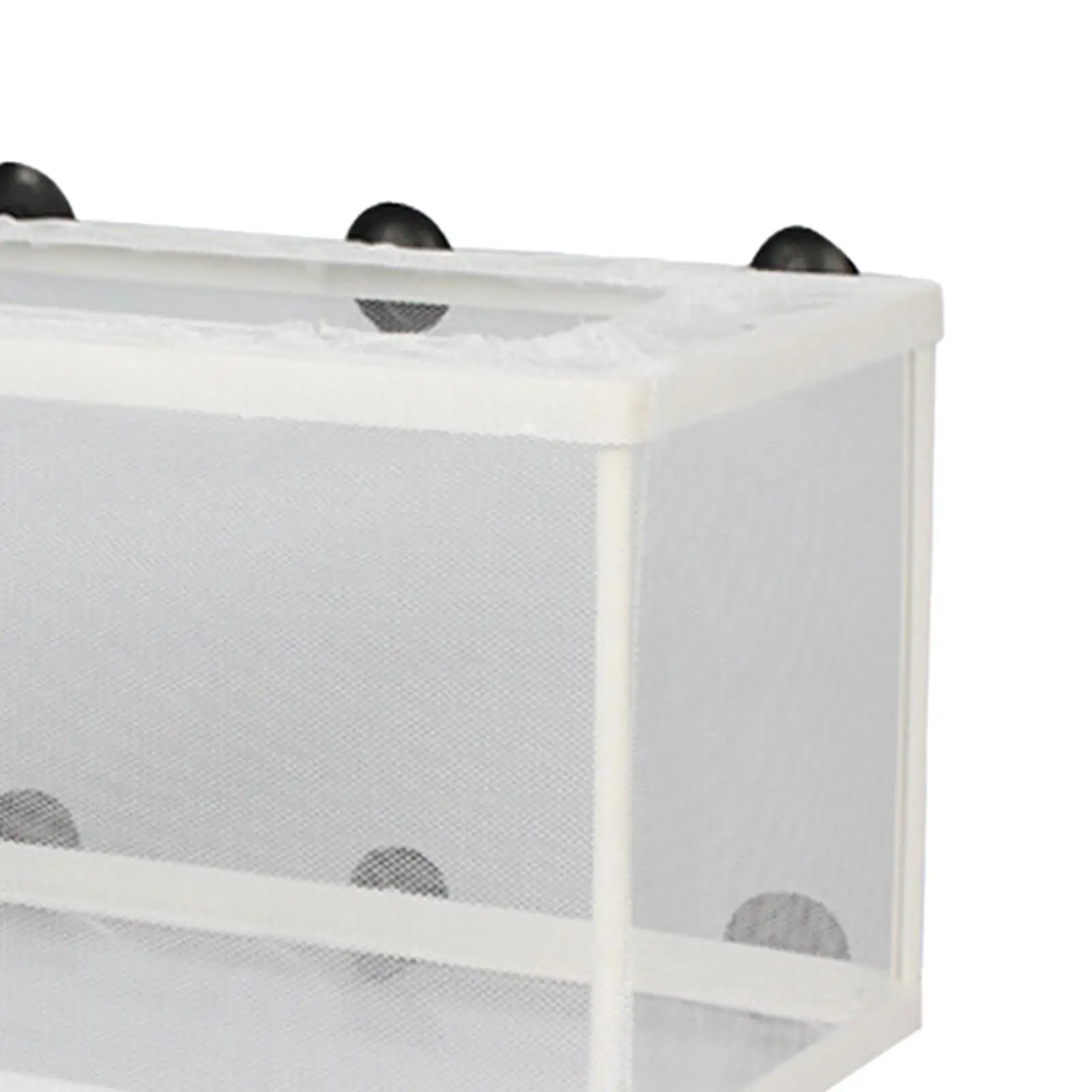 Fish Breeder Box Separation Fish Hatching Mesh with Suction Cups Aquarium Hatchery Breeding Isolation Net for Guppy Clownfish