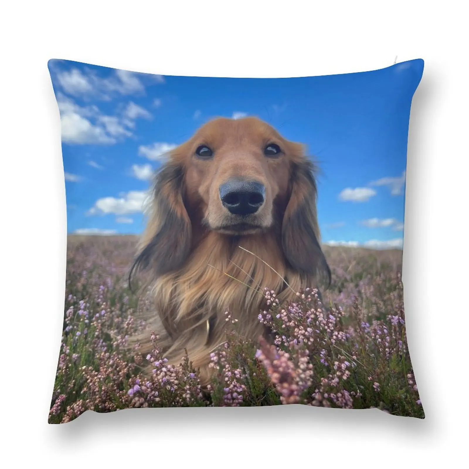 

Standard Dachshund Throw Pillow Ornamental Pillow Sitting Cushion pillow