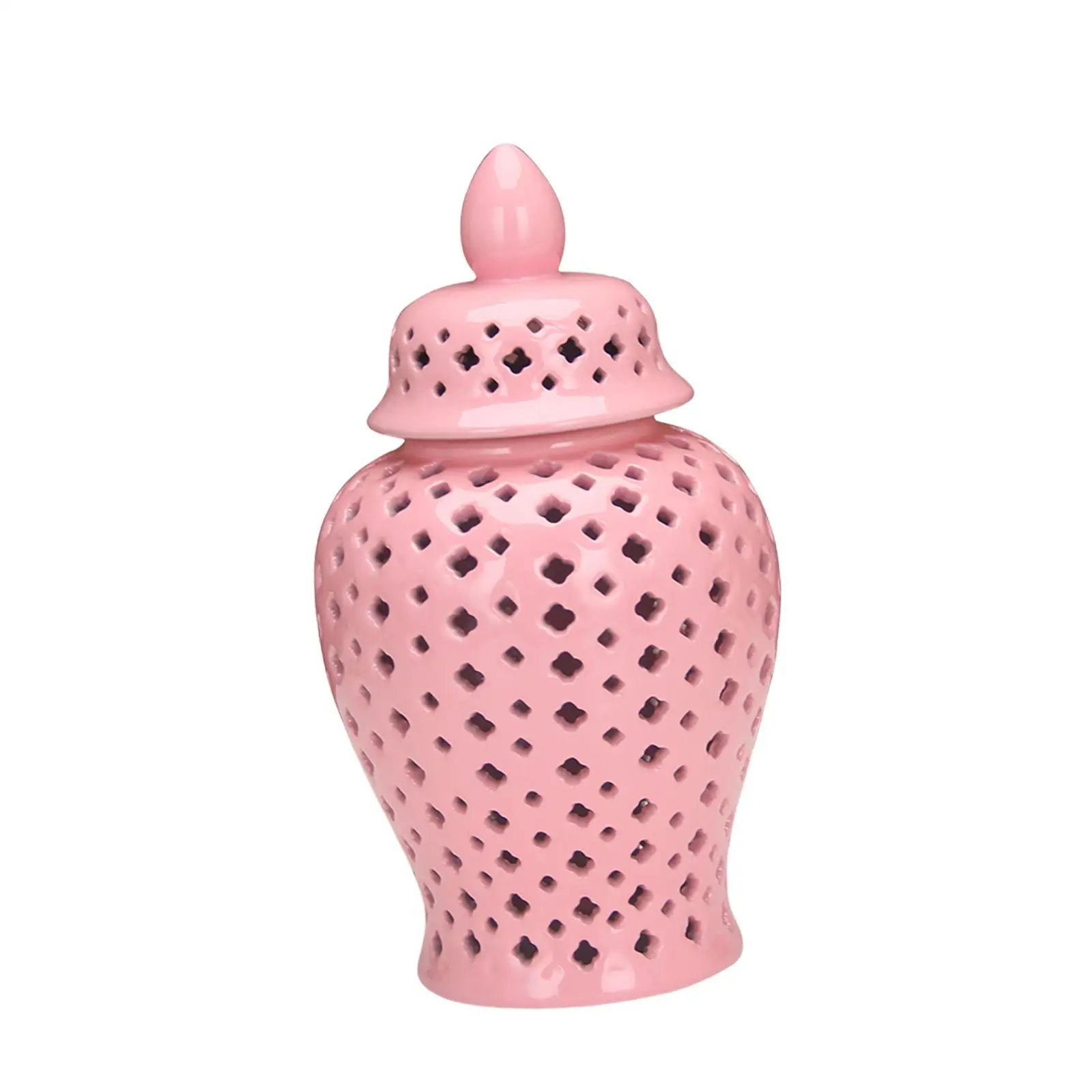 Porcelain Ginger Jar Hollow Out Decorative Ceramic Vase with Lid Table Ornament for Living Room Floral Arrangement