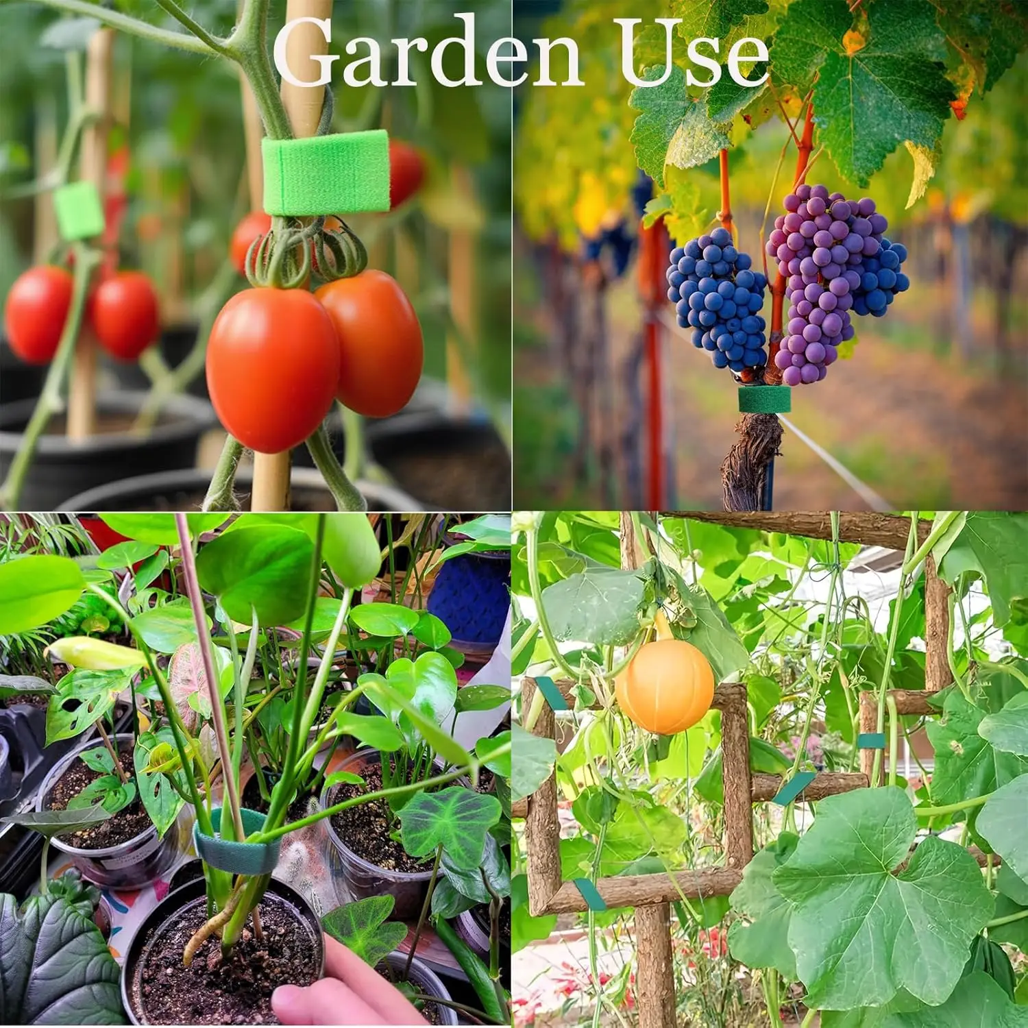 Plant support strap, reusable, easy to cut and adjust binding strap, suitable for tomatoes, climbing vines, and trellis