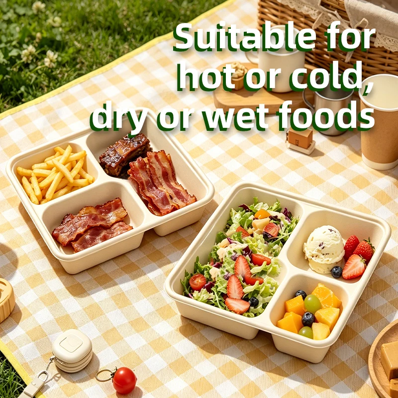 50Pcs 3‑Compartment Disposable Bagasse Food Trays Natural Sugarcane Pulp Divided Plates Biodegradable Lunch Containers for Party