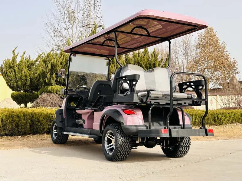 مصنع توريد 72 فولت 2 4 6 8 الركاب عالية السرعة مخصصة عربة جولف كهربائية للبيع #4