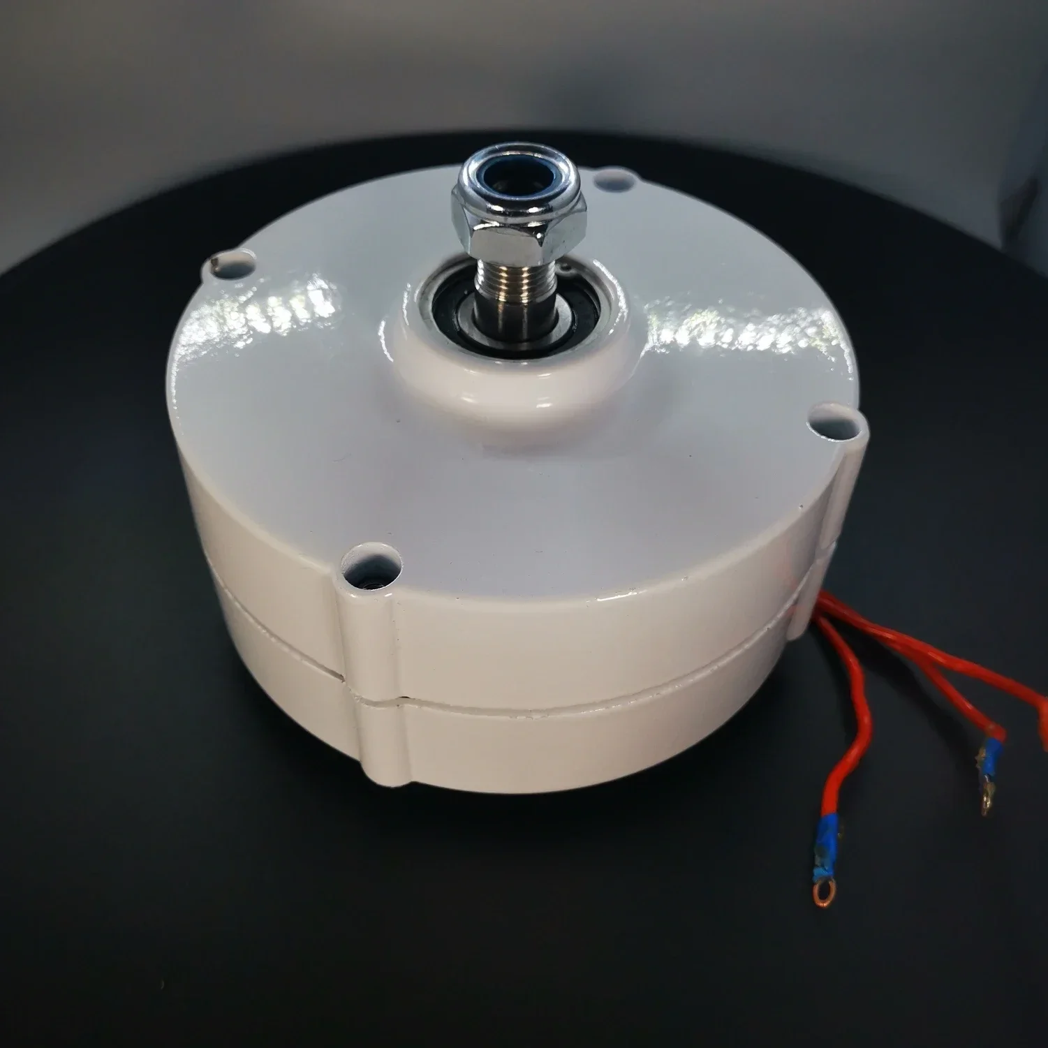 Gearless Permanent Magnet AC Alternators, Three Phase, 100W, 12 V, 24V, For Wind Turbine