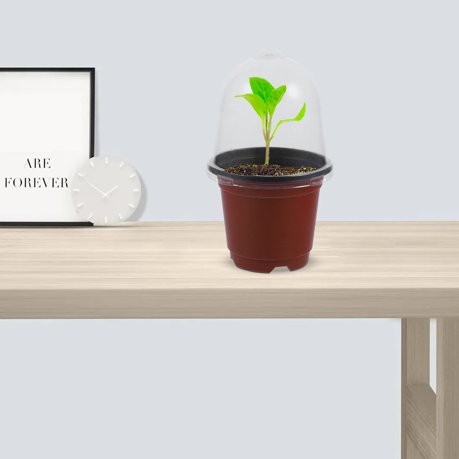 

10 set Nursery Plant Pot With Clear Dome Drainage Holes Lightweight Pet Material For Indoor Outdoor Gardening Succulent Flower