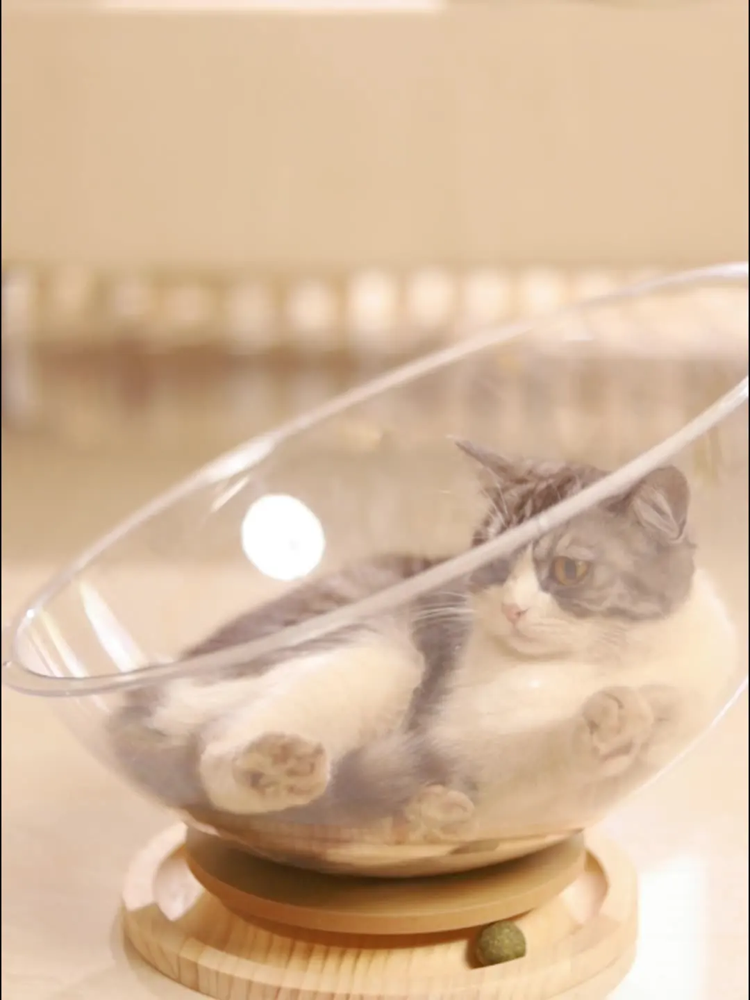 

Space Capsule Cat Bed Kitten Nest Sleeping Nest Four Seasons Universal Stable Cat Furniture Small Animals Pet Supplies