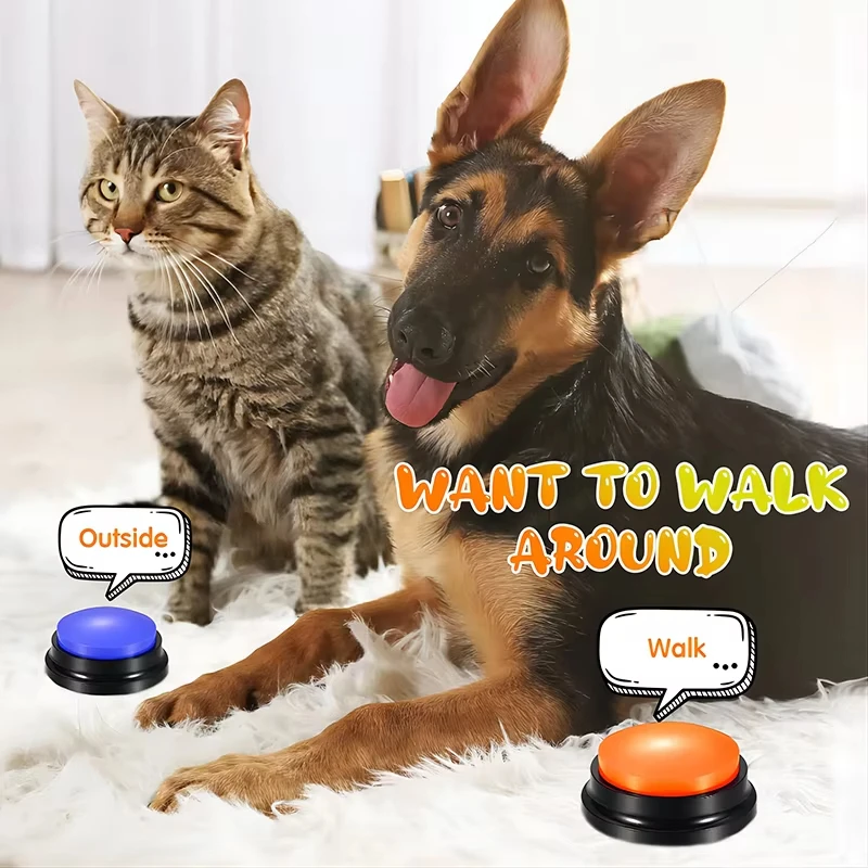 Thumbnail 4 - #32 Compare Interactive Pet Toys Before You Buy