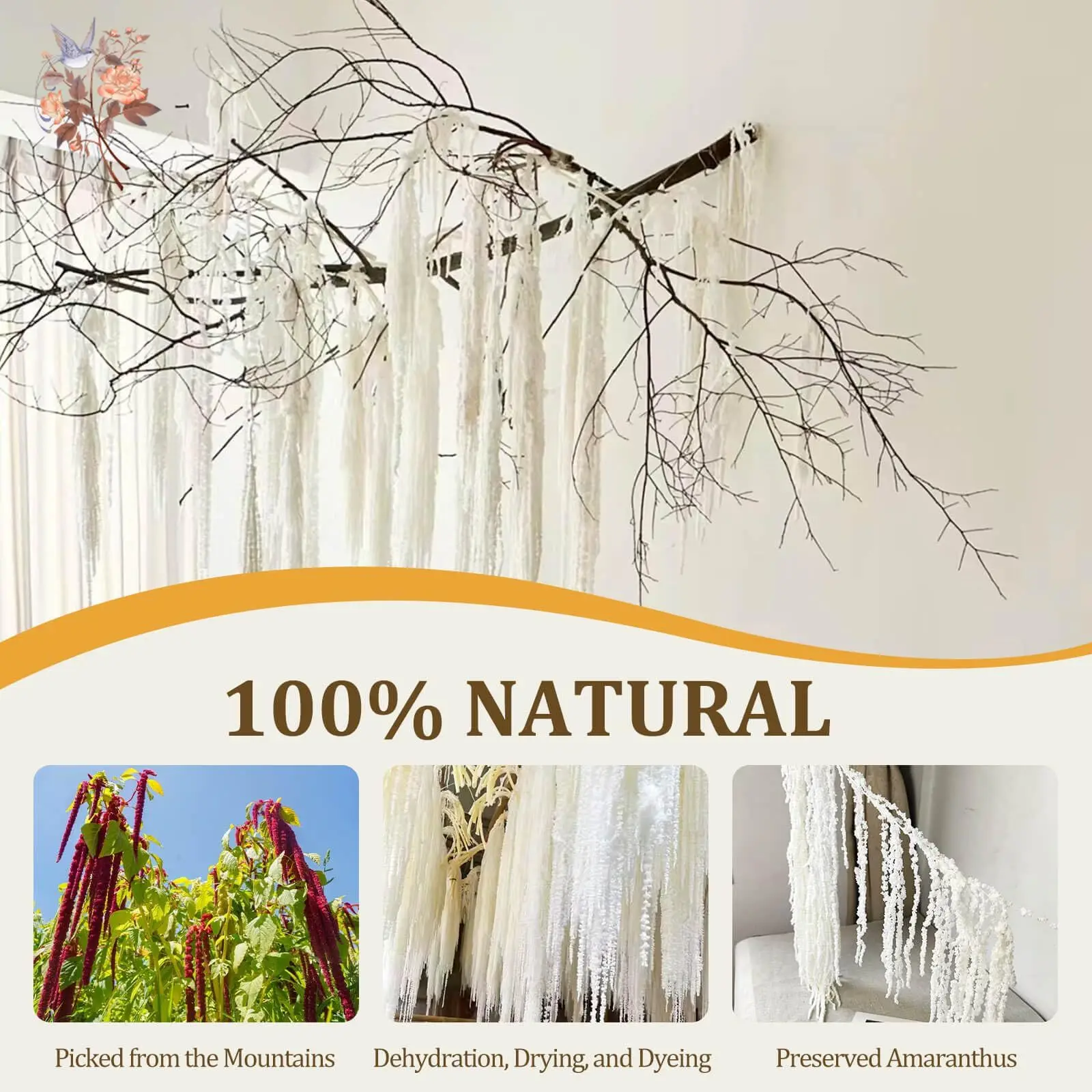 2/5 قطعة زهور أمارانثوس المحفوظة الحقيقية الأبيض المجففة الوستارية معلقة الزهور ترتيب الجدار قوس الزفاف ديكور المنزل زينة عيد الميلاد