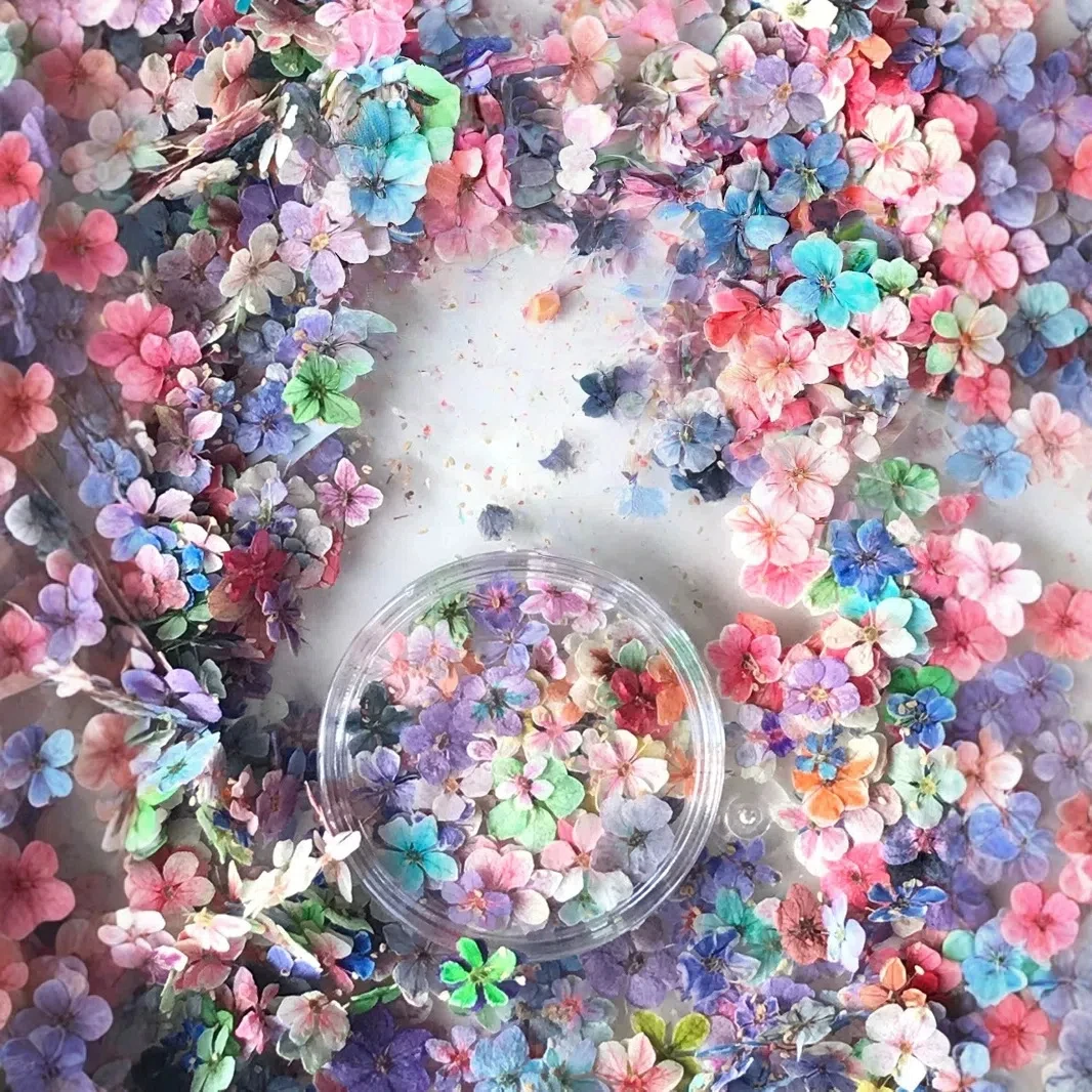 Internet-famous Japanese - Style Mini Real Natural Dried Flowers 3D Applique - DIY  Nail Art Decoration Accessories nail charms