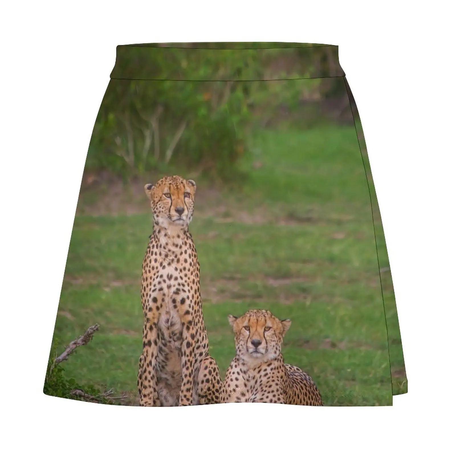 Kenya. Maasai Mara National Reserve. Cheetahs. Two Brothers. Mini Skirt mini skirt rave outfits for women