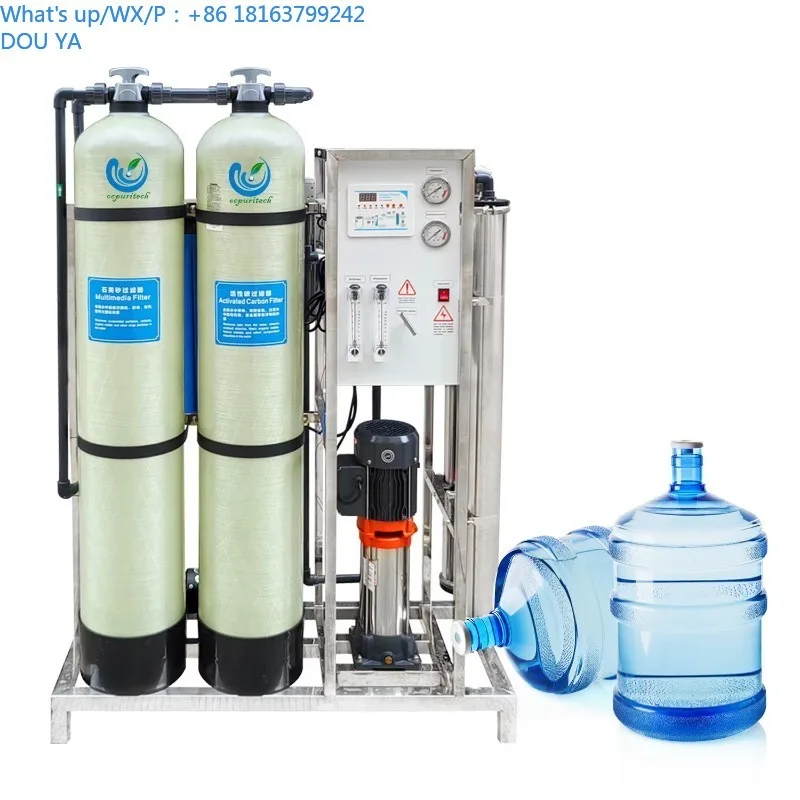 

Industry Water Treatment Equipment 500LPH Reverse Osmosis Water Treatment for Drinking Water