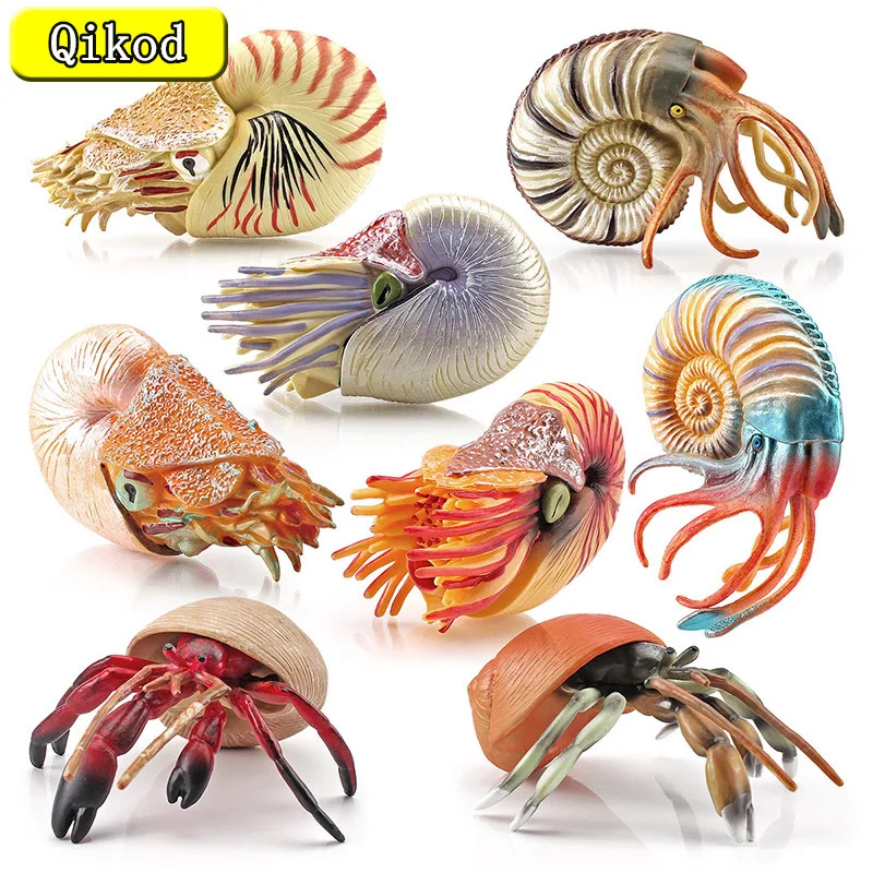 Simulation Marine Animal Model Hermit Crab Nautilus Fish Tank Ornaments Figurines Action Figures Children's Educational Toy Gift