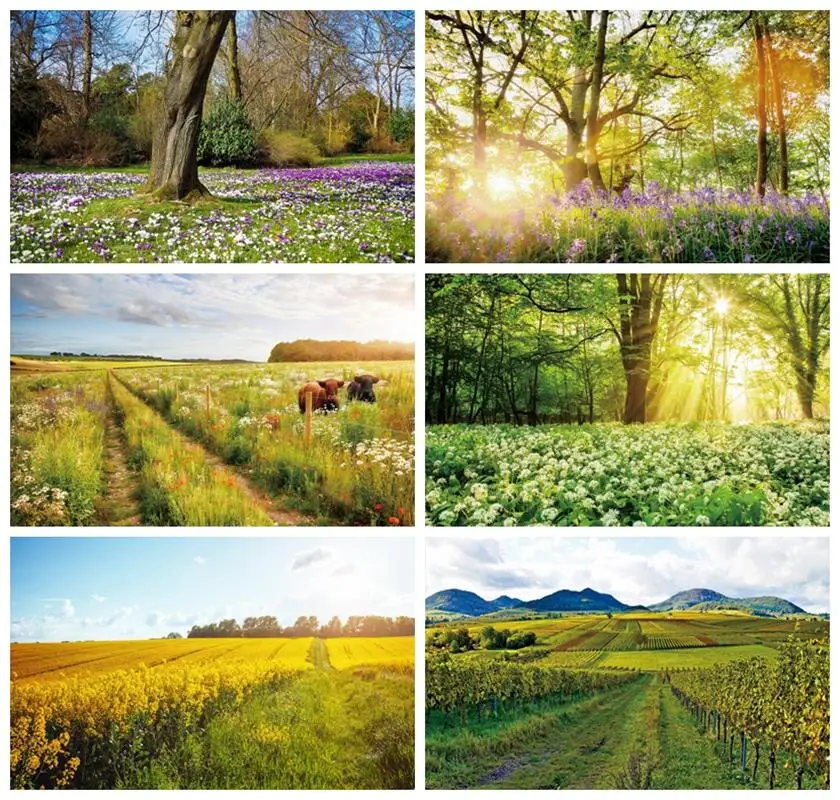 Laeacco Spring Rural Pasture Photography Backdrop Sunrise Field Meadow Wildflower Grass Cattle Kids Adults Portrait Background