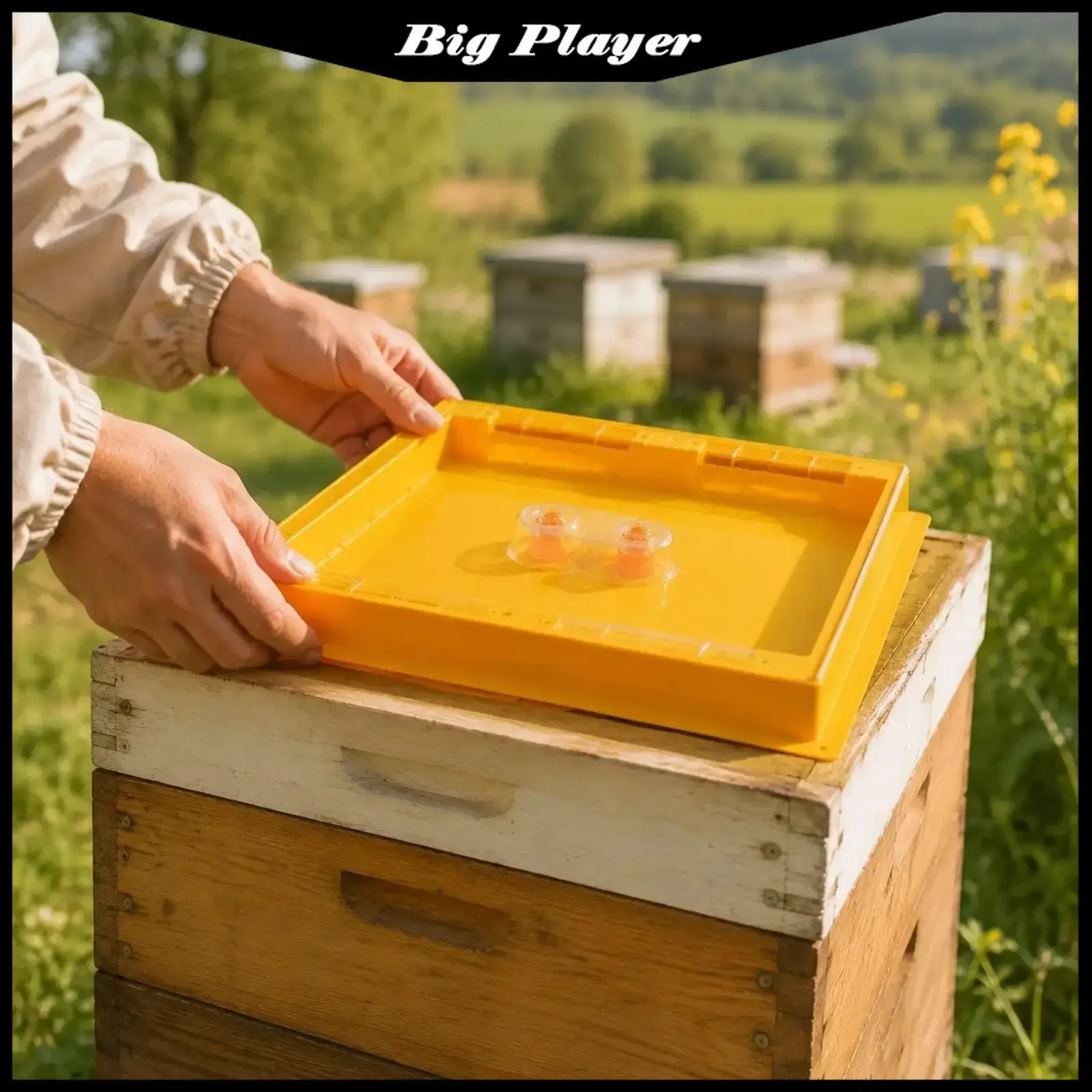 10 Frame Beehive Top Feeder 1.2 Gallons, Beekeeping Feeding Tool for Water and Sugar Cakes
