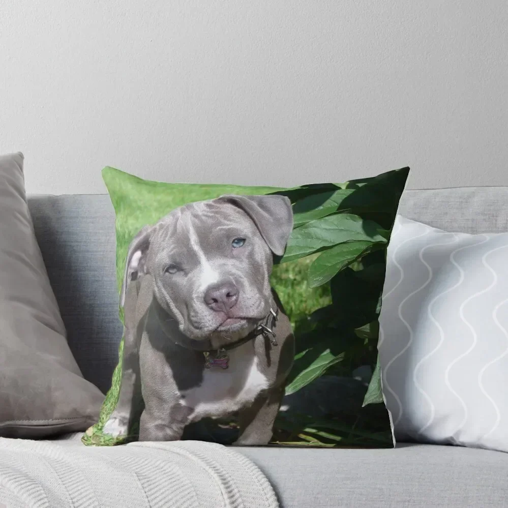 

Gorgeous Baby Pitbull Puppy Dog (Head Tilted) Throw Pillow pillows decor home Cushions Home Decor pillow