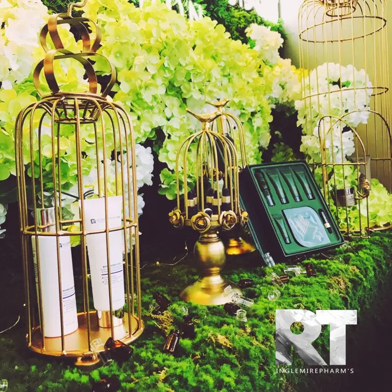 Window ornament sample room ornament wrought iron photography props wedding dessert table decoration bird cage ornament