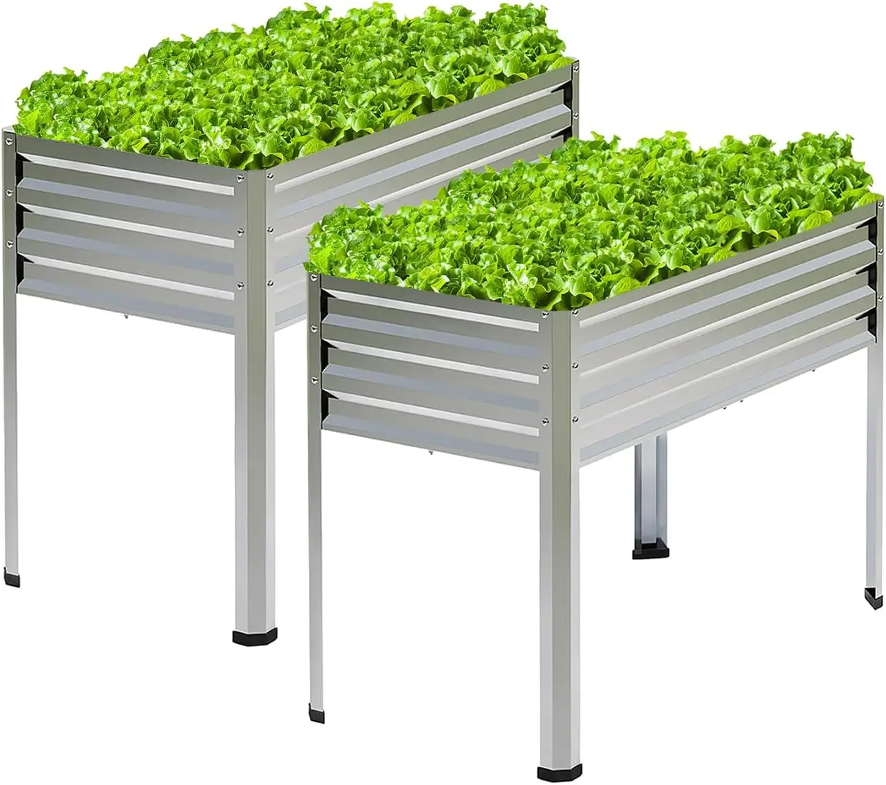Galvanized Raised Garden Bed with Legs, 2PCS 48x18x31.5 Inch Elevated Metal Planter Box, 300lbs Capacity for Vegetables, Flowers, Herbs. Suitable for Garden, Balcony, Patio, Backyard.