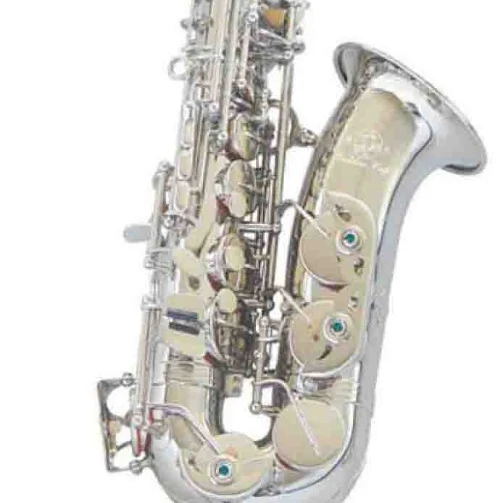 Eb Tone Alto Saxophone High Grade Gold Wind Musical Instrument ABC1102N for Stage Performance Examination Daily Practice