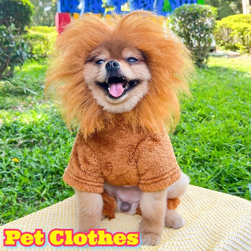 

4 Legs Warm Pet Dog Cat Clothes Winter Cozy Apparel Large Breed Puppy Teddy Lion Fashion Outfit Cartoon Transformation Costume