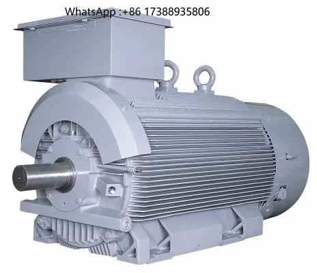 High Voltage Electric Motors