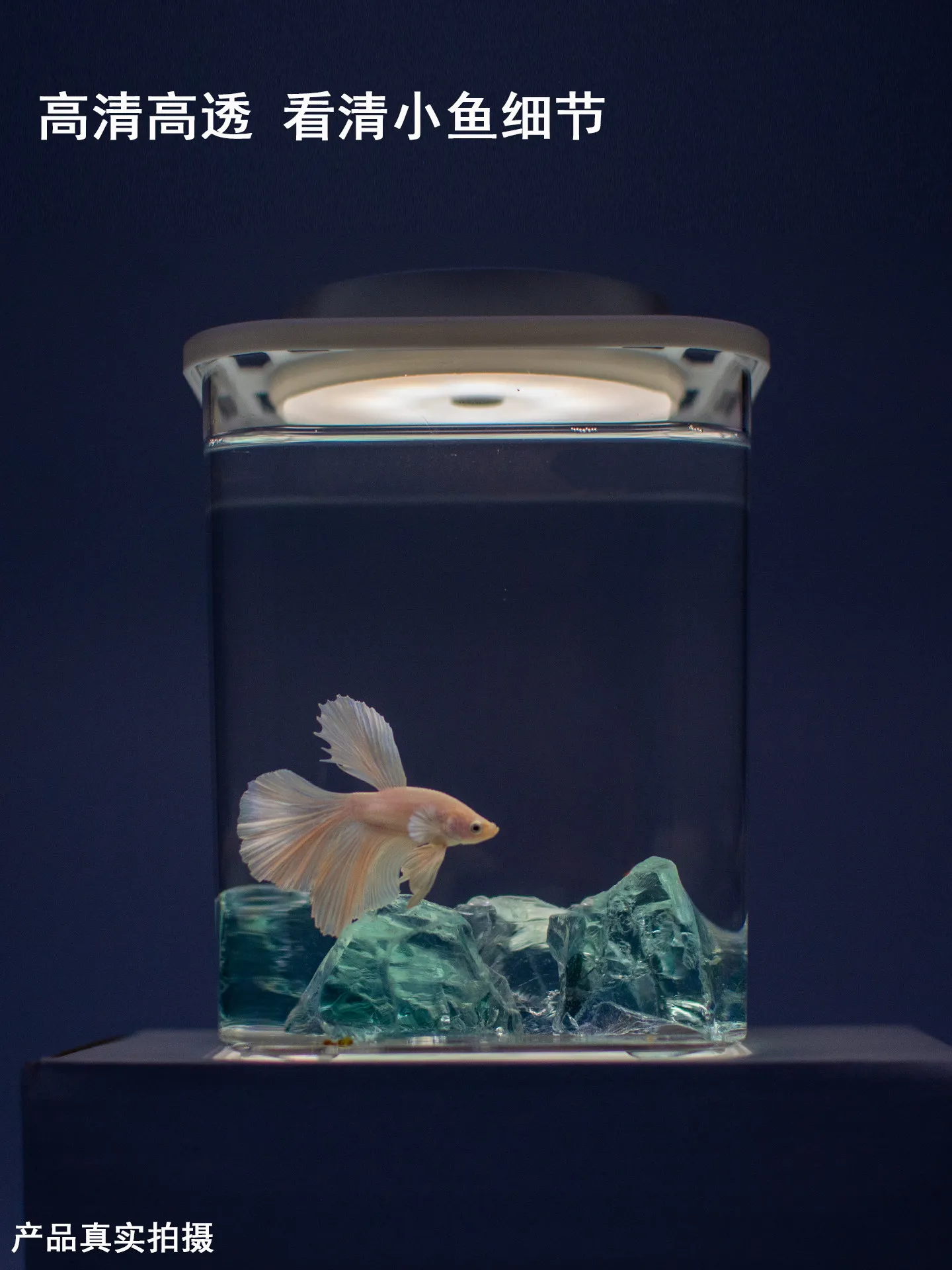 Desktop landscaping fish tank decoration Douyu tank charging light