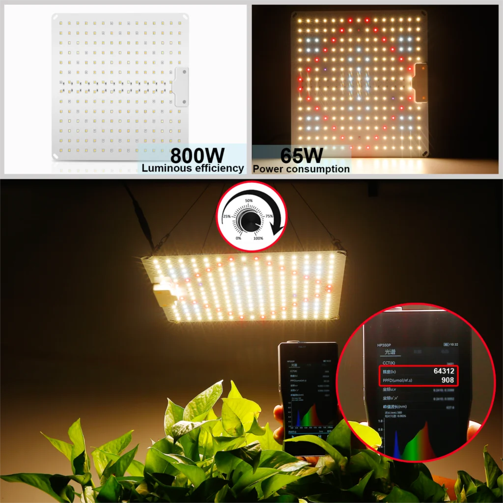 Led Grow Light With Samsung 500W 600W 800W Diode Full Spectrum Plant Growth Light for Indoor Greenhouse Hydroponic Plants