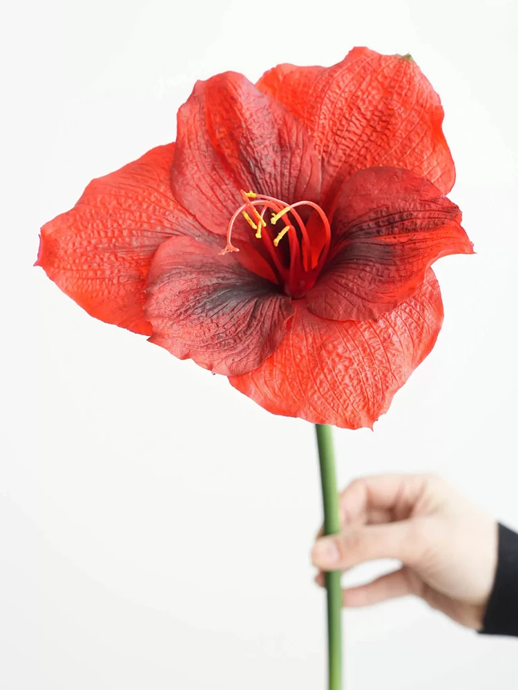 Large Artificial Red Flowers Long Stem Pink Clivia Flowers Wedding Red New Year Christmas Home Decoration