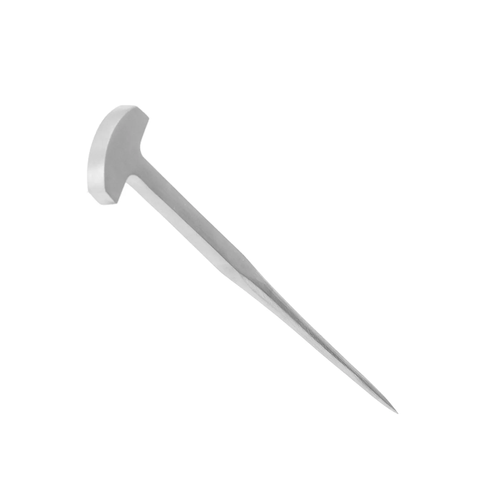 Kill Fish Nail Kitchen Supplies Japanese  Eel Spike 304 Stainless Steel T Shaped Fish Eel Nail for Home Kitchen Restaurant