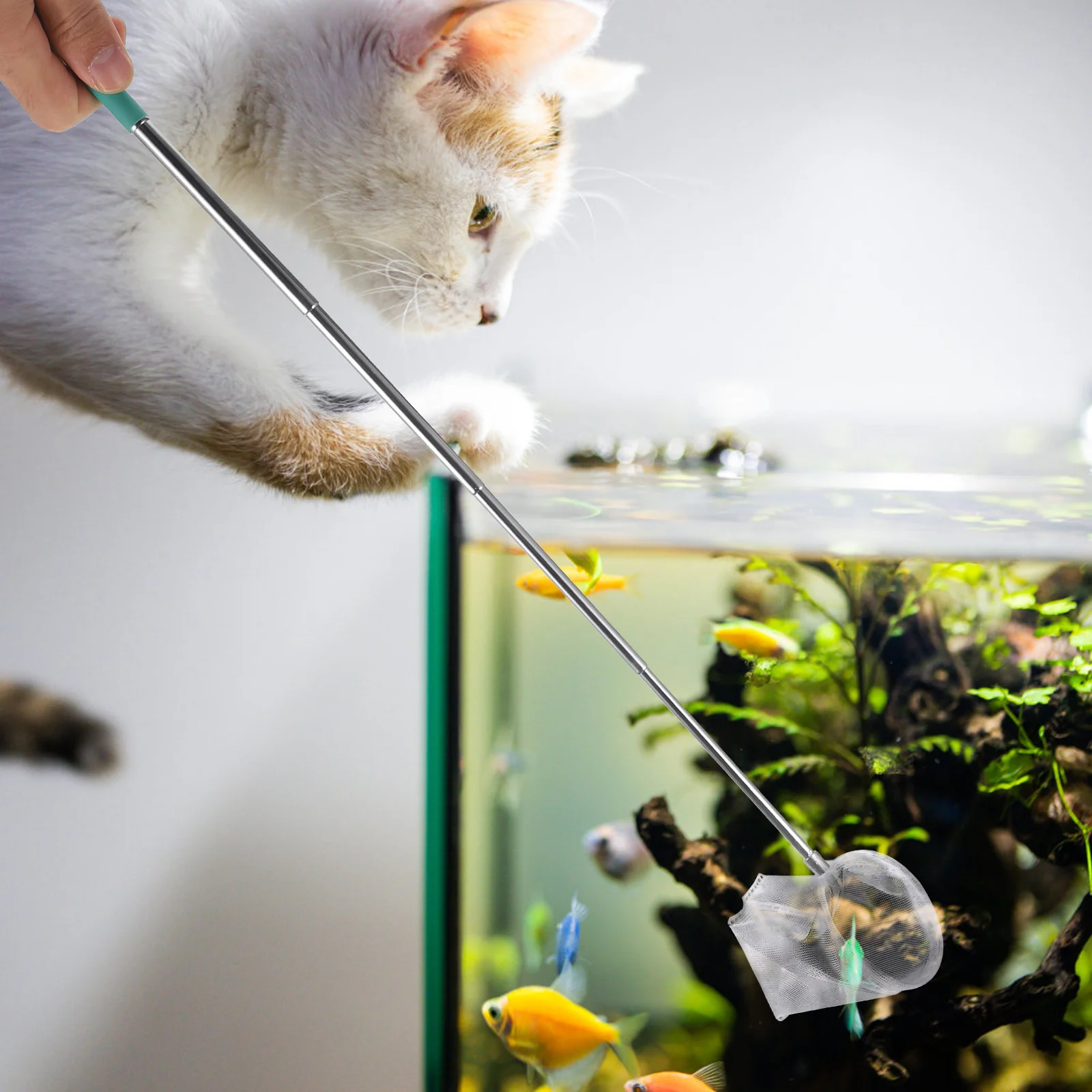 

Stainless Steel Telescopic Shrimp Heavy Duty Nylon Mesh Hangable Hole For Aquarium Fish Shrimp Pets Black Foldable Net