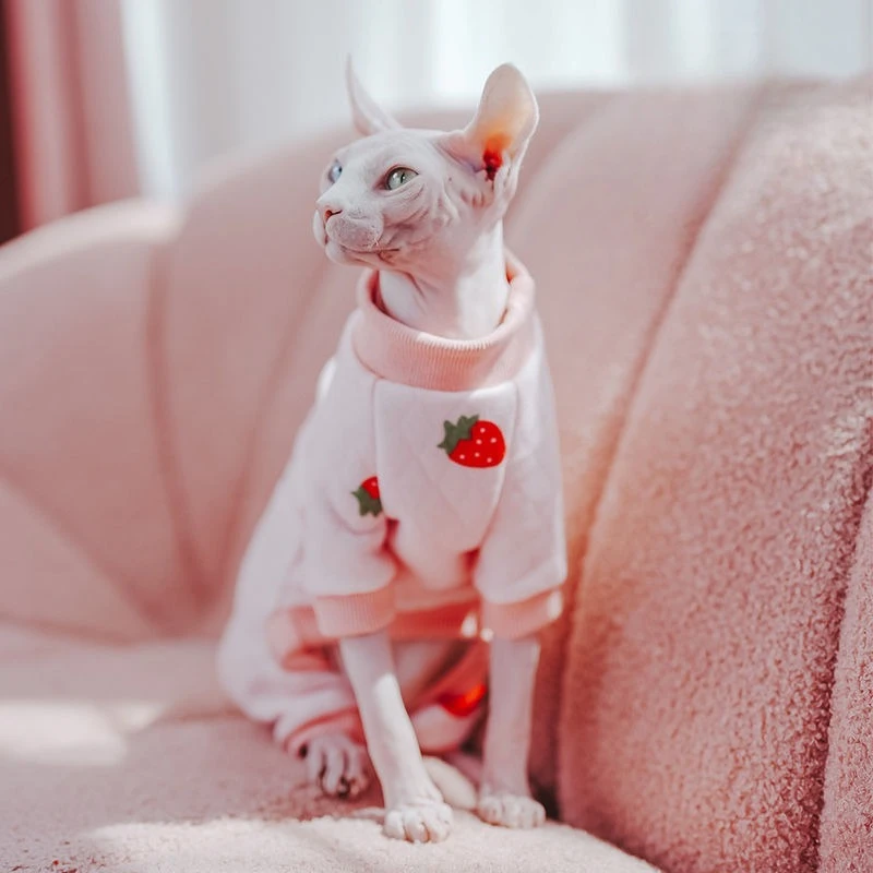 

Весна и осень 2024, новая хлопковая одежда с зажимом для кошек, хлопковая одежда без волос, теплая и эластичная одежда на четырех ножках