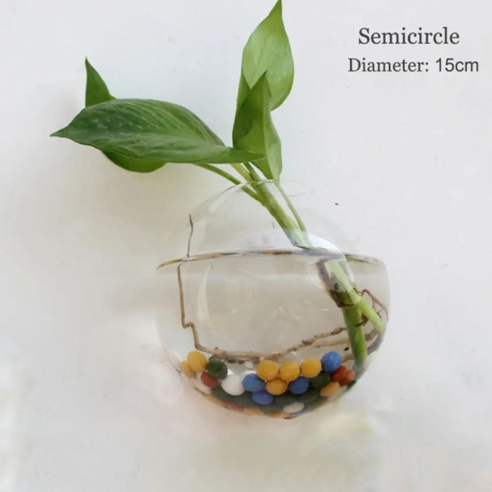Purify House Irregular Shape Glass Crafts Fish Tank Hydroponic Plants Flower Vase Hydroponic Vase Plant Container Flower Pot