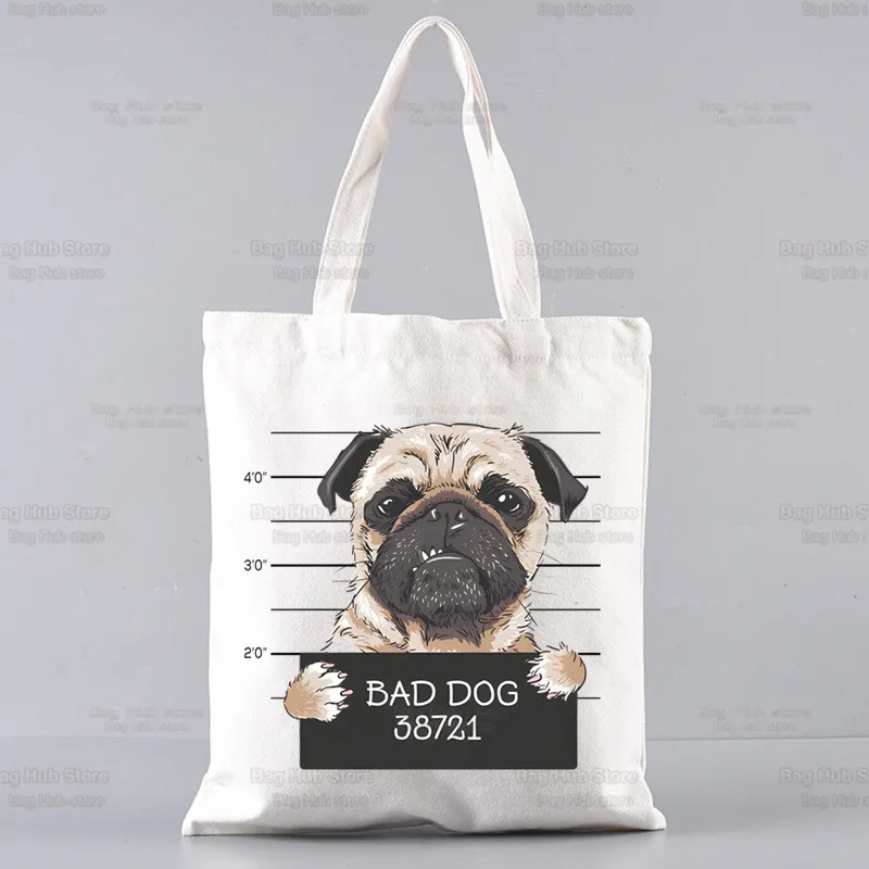 Pug Dog Animal Pet … - image