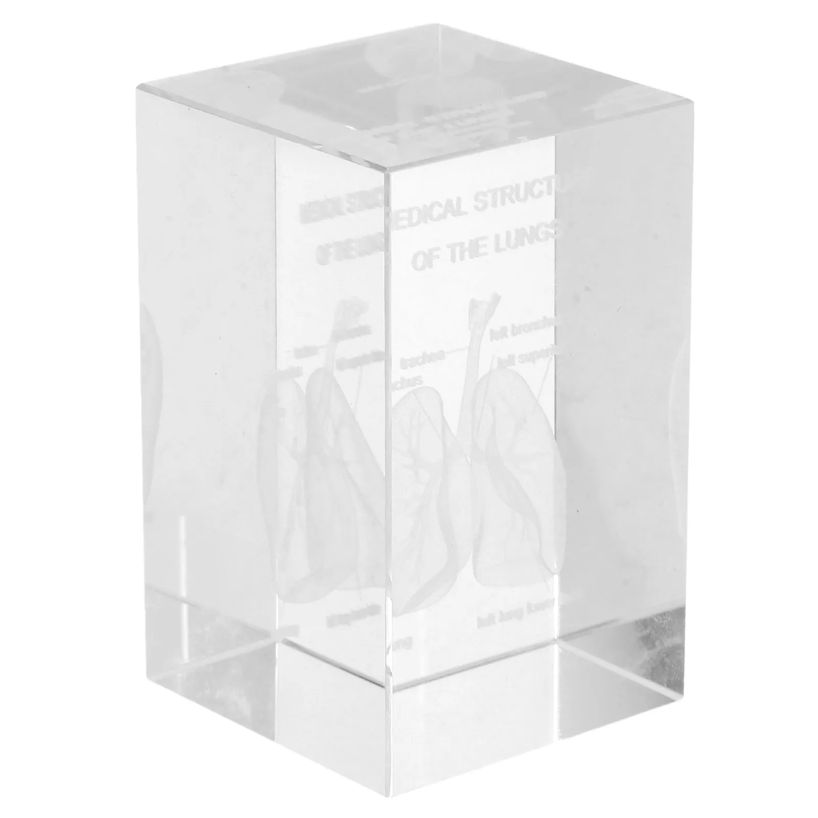 Stunning Clear Crystal Cube with Detailed Internal 3D Human Lung Anatomy Engraving Elegant Scientific Decoration for