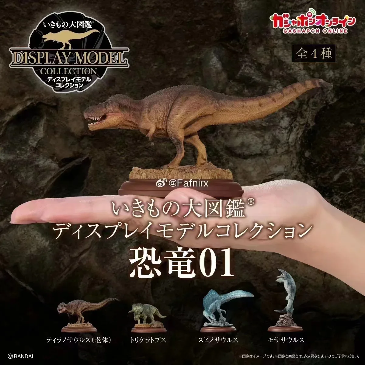 Japanese Genuine Gacha Scale Model Biological Cognitive Model Dinosaur Tabletop Decoration Action Figure Toys