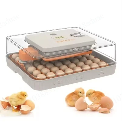 

Advanced Automatic Incubator 56H Chicken Incubator and Hatching Machine